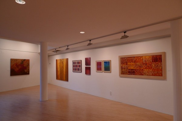 LLEIDA-JOCS-2-Sala Coma Estadella Lleida 2011