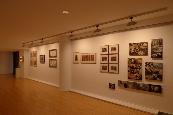 LLEIDA-JOCS-Sala Coma Estadella 2011