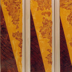 Un continente olvidado